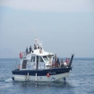 whale watching | Hvaler Observasjoner | Costasur