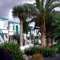 Ferienwohnung Tropicana Lounge 4