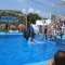 Marineland Mallorca, Balearische Inseln, Spanien