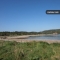 Nur wenige Meter vom Strand