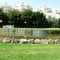 Con piscina, cerca de los campos de golf