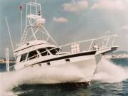 Bild Portimao | Fischerboot 