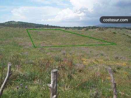 tc0051-1-2-gallery						