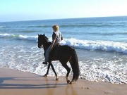 Foto Tarifa | Reiten