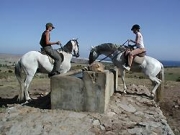 Bild Tarifa | Reiten