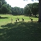 Golf Dehesa Montenmedio