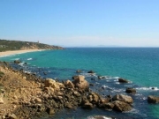 Bilde Tarifa | Los Alemanes