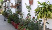 Bild Tarifa | Rustikales Ferienhaus in Santuario de la Luz