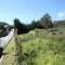 Parcela en el Cuart�n