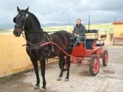Bilde Tarifa | 