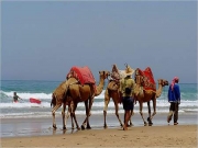  Urlaub | 